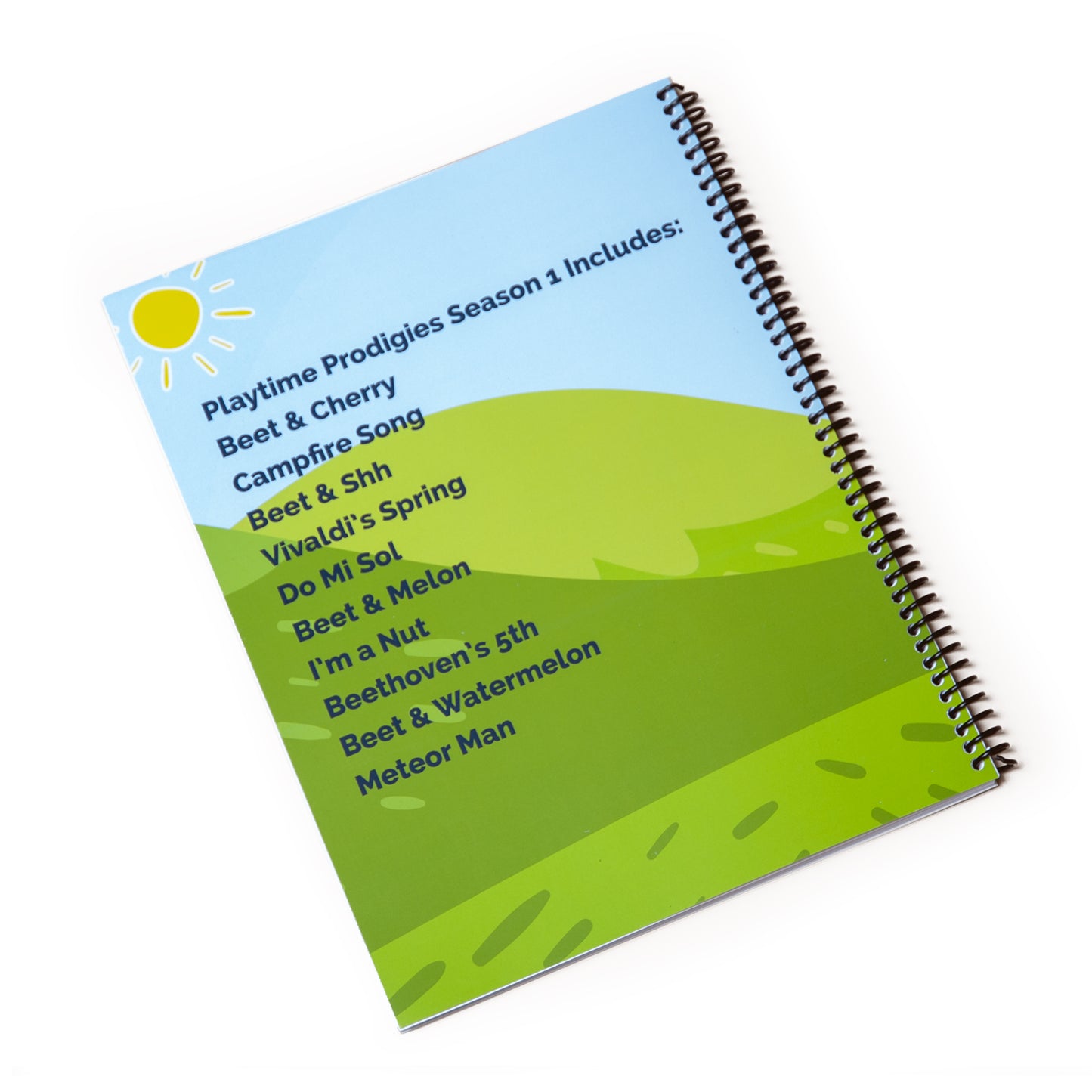 Playtime Prodigies Workbook (Primer)