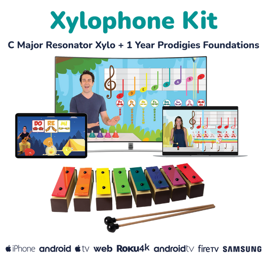 Xylophone Kit